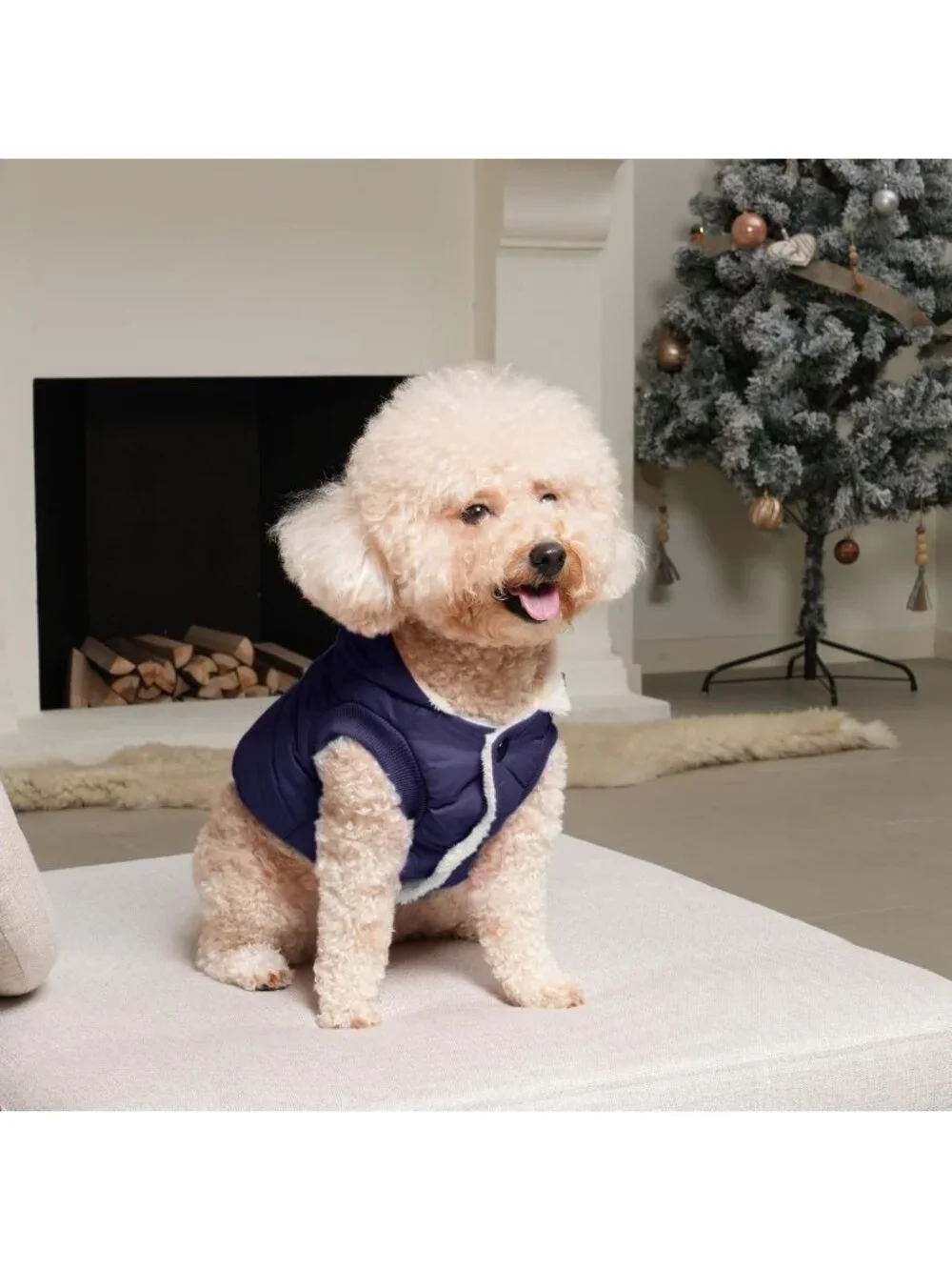 Cozy Winter Dog Jacket with Hoodie for Medium Dogs - Warm & Stylish Pet Coat